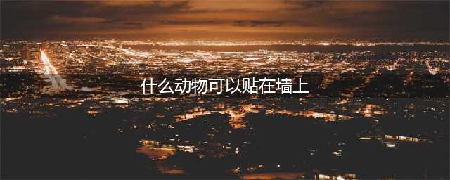 什么动物能贴在墙上(什么动物可以贴在墙上)