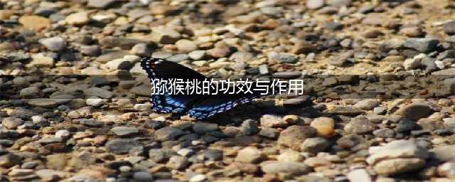 “维生素果”猕猴桃的这十大功效作用及四大禁忌你知道吗？(猕猴桃的功效与作用)
