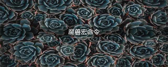 魔兽世界宏命令怎么用 宏命令教程