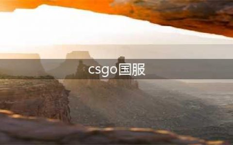 《CSGO》国服和steam有什么区别？(csgo国服)