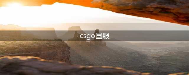 《CSGO》国服和steam有什么区别？(csgo国服)