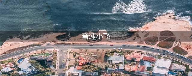 天天酷跑音速小飞爆分搭配 音速小飞高分技巧(音速小飞)