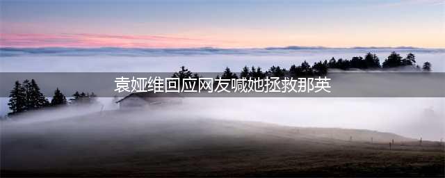 央视出手了！《歌手2024》那英受挫，央视喊话袁娅维出山支援(袁娅维回应网友喊她拯救那英)