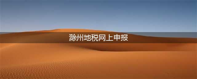 安徽省电子税务局违法违章处理（逾期申报类）模块操作指引(滁州地税网上申报)