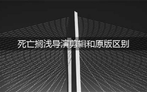 死亡搁浅导演剪辑版和原版区别介绍