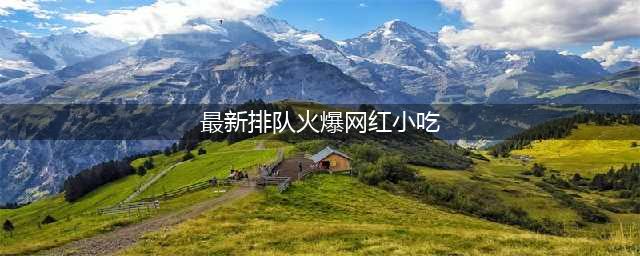排队2小时的网红小吃，网友：果然名气大的，并不一定是好吃的(最新排队火爆网红小吃)