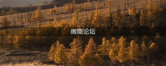 微商论坛(微商论坛)