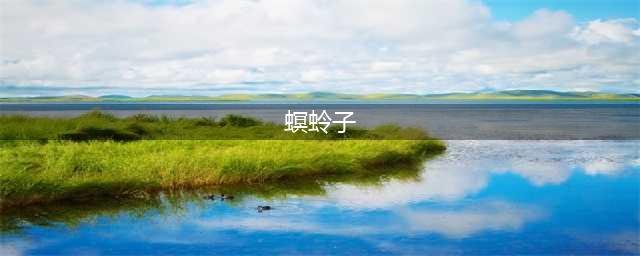 为什么古人把养子称为「螟蛉」？(螟蛉子)