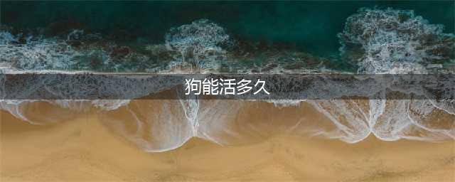 狗一般能活多久 一般情况寿命是10—15年(狗能活多久)