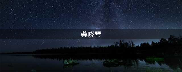 龚晓琴：加快台资集聚区 “二次创业”  打造高质量跨越强力引擎(龚晓琴)