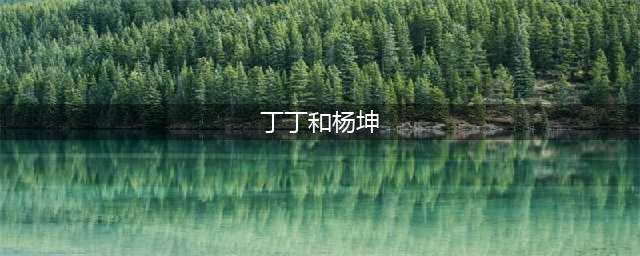 她靠《好声音》成名，和杨坤炒绯闻，如今整容变样无人识(丁丁和杨坤)