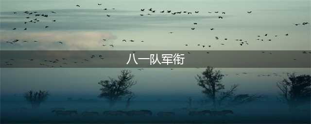 最特殊的球队——八一队！几乎每个球员都拥有军衔(八一队军衔)