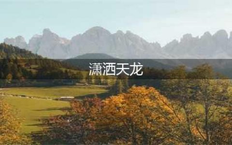 潇洒天龙超变官网在哪下载 最新官方下载安装地址