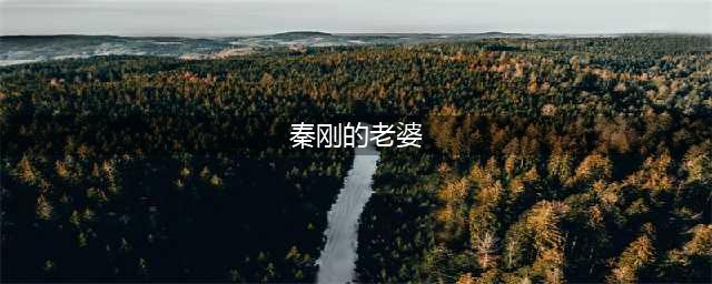 大老板丈夫假装躲债骗离婚，一年后娶24岁美娇妻，买房买车生女儿(秦刚的老婆)