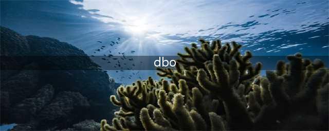 【独家】有一种运作方式叫“DBO”(dbo)