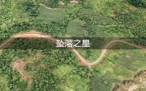 《泰拉瑞亚》坠落之星有什么用 坠落之星作用一览(坠落之星)