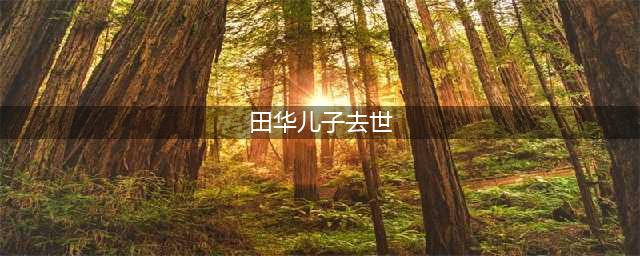 田华儿子去世太心酸 家中4位癌症患者87岁高龄无奈复出(田华儿子去世)