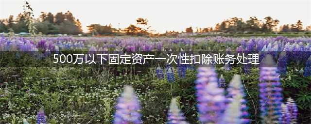 500万元以下固定资产一次性税前扣除的账务处理和纳税申报(500万以下固定资产一次性扣除账务处理)