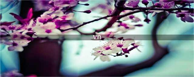 《英雄联盟》无限火力vn怎么出装 无限火力vn出装推荐(vn)
