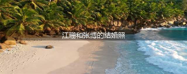 江珊现任丈夫结婚照 江珊张博看电影一路喜笑颜开(江珊和张博的结婚照)