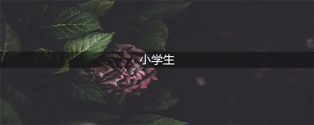 适合小学生看的48部电影（强烈推荐）(小学生)