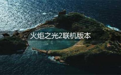 《火炬之光2》怎么联机 联机方法介绍(火炬之光2联机版本)