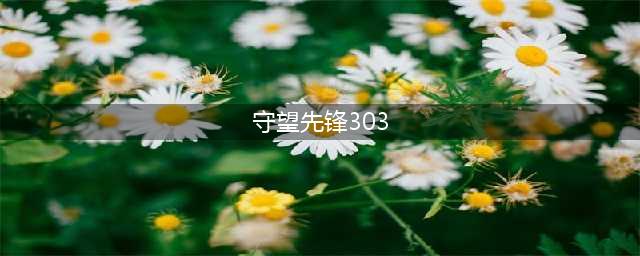 《守望先锋》303阵容优势在哪些方面 侧面分析303阵容强势原因(守望先锋303)