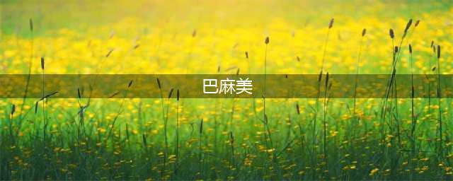 《魔法纪录》巴麻美属性特点详解 巴麻美厉害吗(巴麻美)