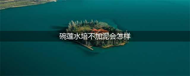 碗莲水培不加泥会怎样(碗莲水培不加泥会怎样)
