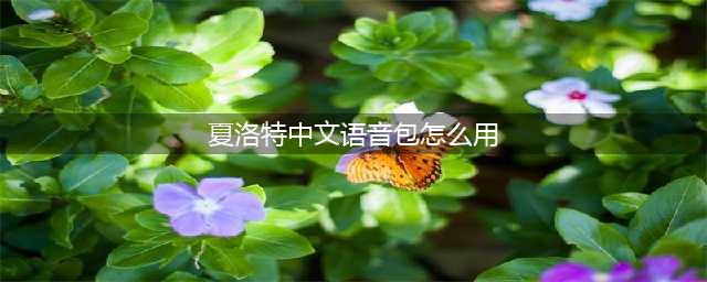 《王者荣耀》夏洛特中文语音包使用方法 夏洛特中文语音包怎么用(夏洛特中文语音包怎么用)
