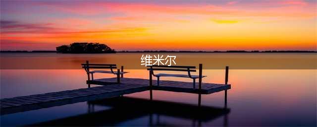 赏析 | 维米尔——荷兰最伟大的画家之一(维米尔)