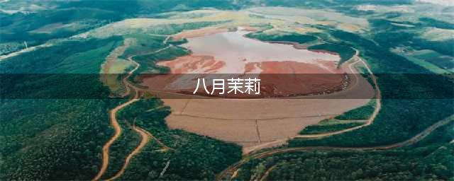 7、8月养茉莉，4个关键点别疏忽，长出新枝就能开花(八月茉莉)