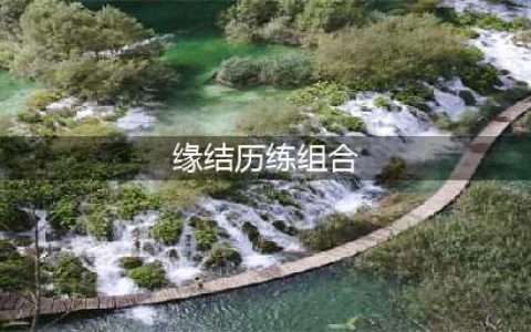 《阴阳师》缘结历练组合有哪些 缘结历练特殊组合汇总一览(缘结历练组合)