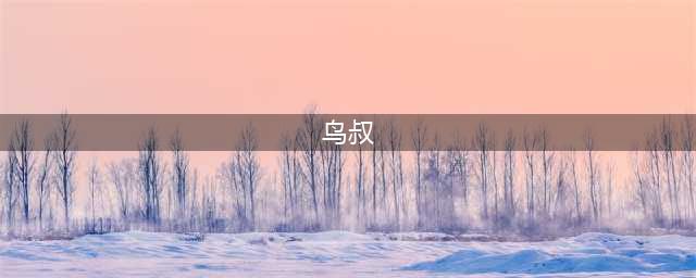 当年风靡全球的鸟叔，如今落魄，令人惋惜。(鸟叔)