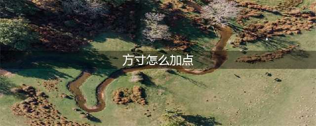 梦幻西游手游方寸怎么加点 方寸加点方案推荐