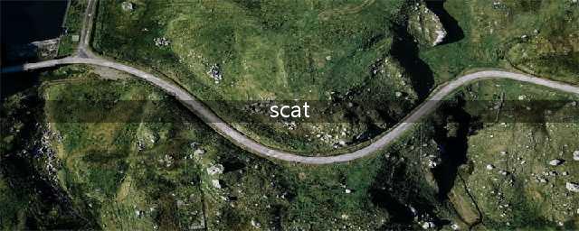 一文读懂CTY及SCAT考试，你想知道的都在这里！(scat)