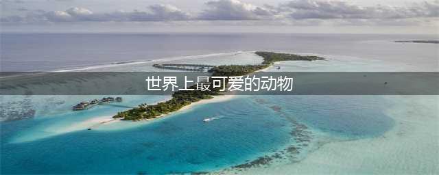 世界上10大最可爱的动物，耳廓狐居榜首，大熊猫第三，草泥马第七(世界上最可爱的动物)