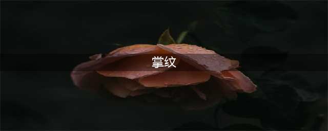 看手相得先明白这五条主线掌纹，“男左女右”是误解(掌纹)