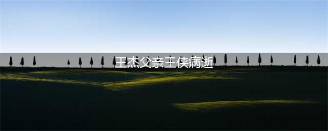 王杰父亲王侠病逝后事由女儿处理 王杰已回台湾心力交瘁(王杰父亲王侠病逝)