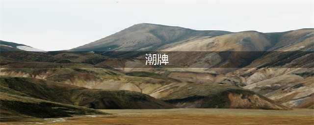 全球20大潮牌，你get几个？(潮牌)