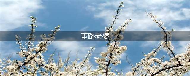 体育解说界太太团颜值第一是董路媳妇胡艳还是杨毅媳妇洪子琪？(董路老婆)