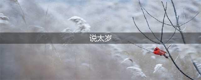 《霹雳江湖》说太岁好用吗 说太岁技能属性介绍(说太岁)