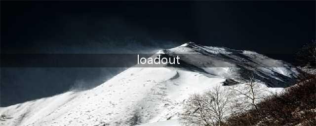 《使命召唤10》灭绝模式LOADOUT全中文翻译(loadout)
