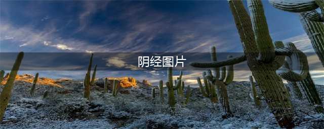 阳经和阴经(阴经图片)