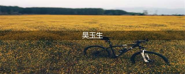 吴玉生老师硬笔行楷～红楼梦诗词(吴玉生)
