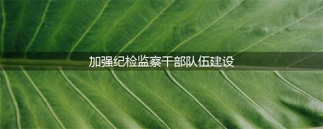 加强新时代纪检监察干部队伍建设(加强纪检监察干部队伍建设)