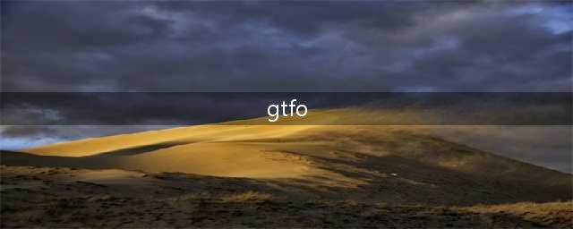 《GTFO》新手如何玩 新手入门指南(gtfo)