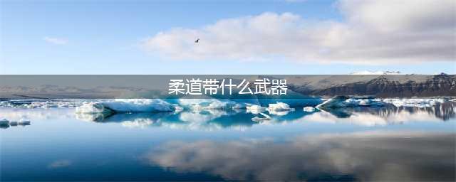 《DNF》女柔道110级毕业武器选择攻略2022(柔道带什么武器)