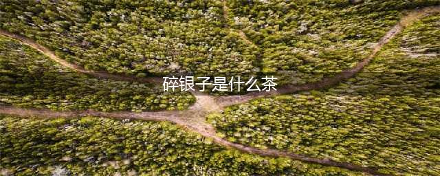 碎银子是什么茶，怎么泡好喝？(碎银子是什么茶)