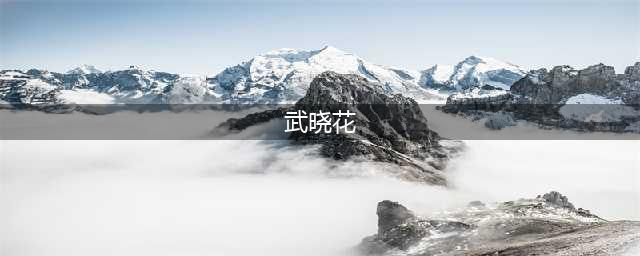武晓花履新！任太原市委常委、组织部部长(武晓花)